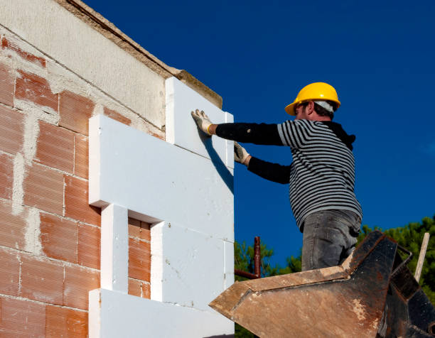 Best Energy-efficient Insulation  in Devine, TX