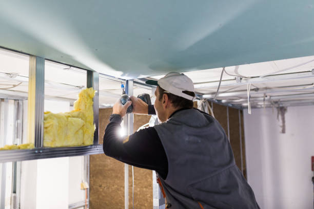 Best Fiberglass Insulation  in Devine, TX