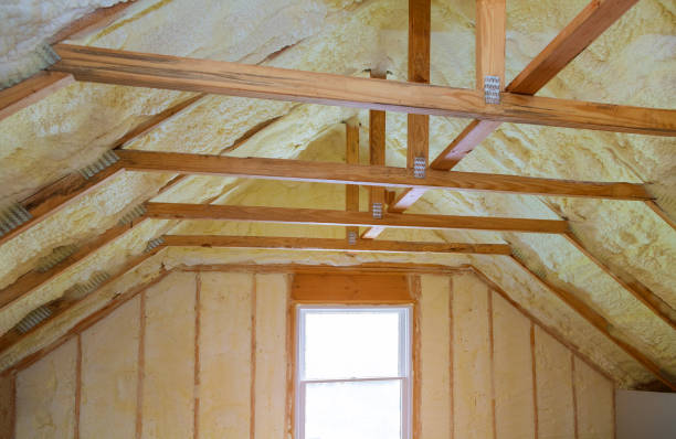 Best Garage Insulation Installation  in Devine, TX