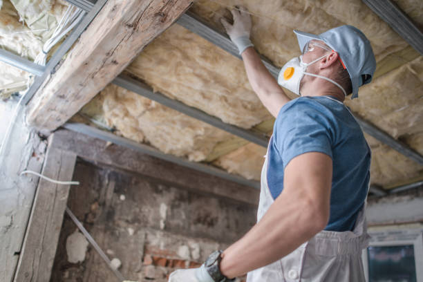 Best Blown-in Insulation  in Devine, TX