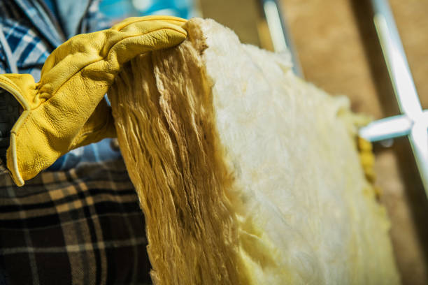 Best Insulation Installation Cost  in Devine, TX