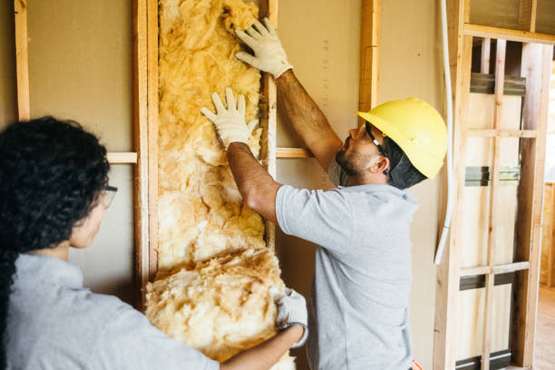 Best Wall Insulation Contractor  in Devine, TX