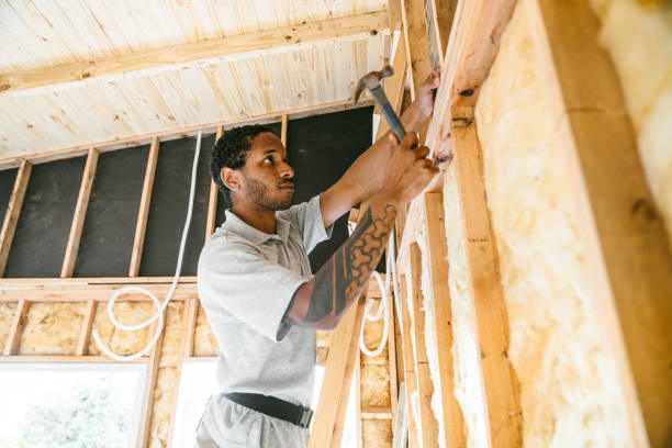 Best Insulation Replacement Services  in Devine, TX