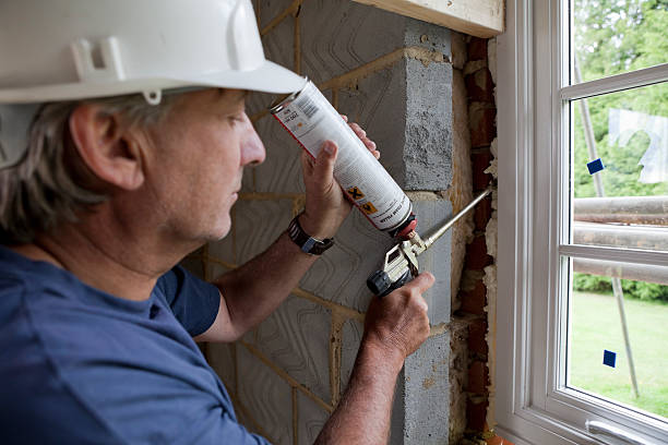 Best Insulation Repair Services  in Devine, TX