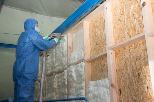 Best Soundproof Insulation Installation  in Devine, TX