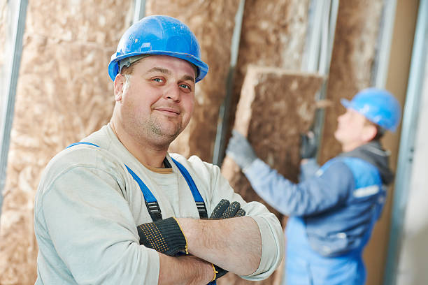 Best Best Insulation Companies  in Devine, TX